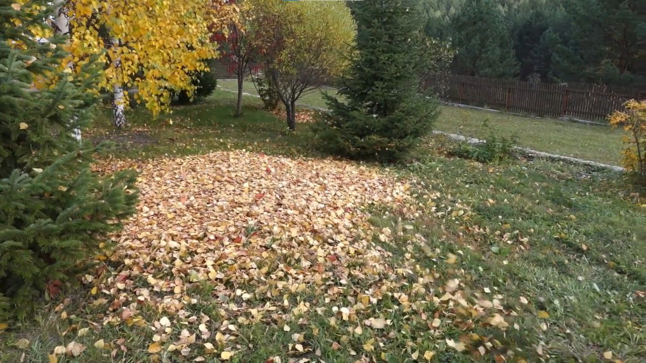 https://kovrov.mslandshaft.ru/storage/app/uploads/public/642/ac5/f22/642ac5f2293e2935715739.jpg